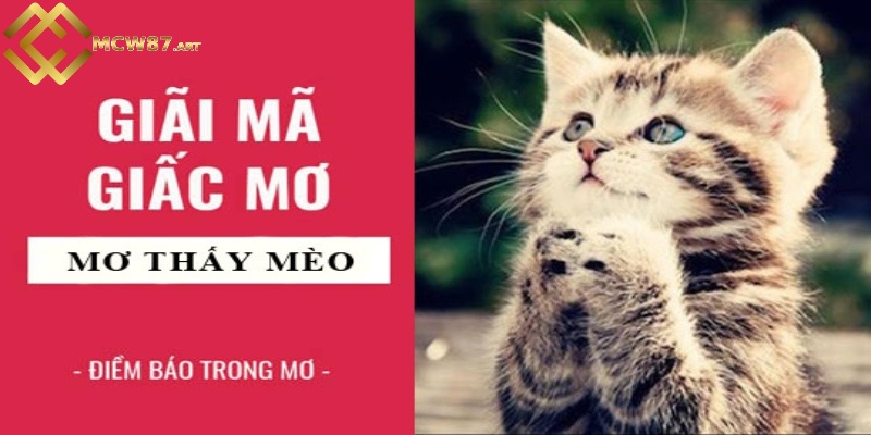 Các trường hợp ngủ mơ thấy mèo đặc biệt