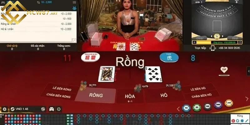 Những lưu ý quan trọng bạn nên nắm khi chơi rồng hổ